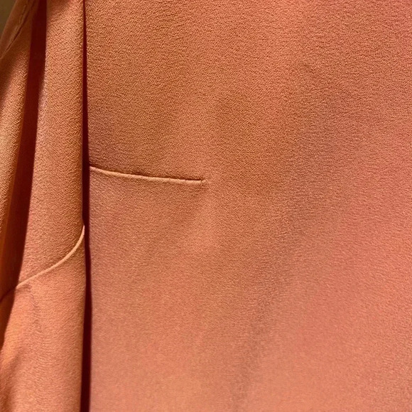 Banana Republic blush pleated dress 10 - Picture 3 of 11